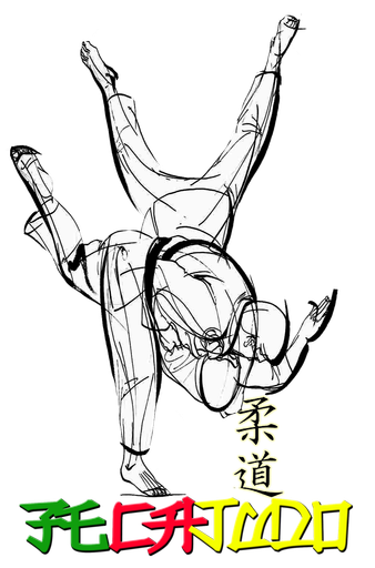 Fédération Camerounaise de Judo logo